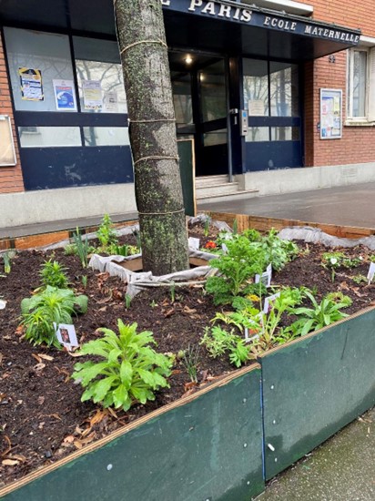 env urban gardening 2